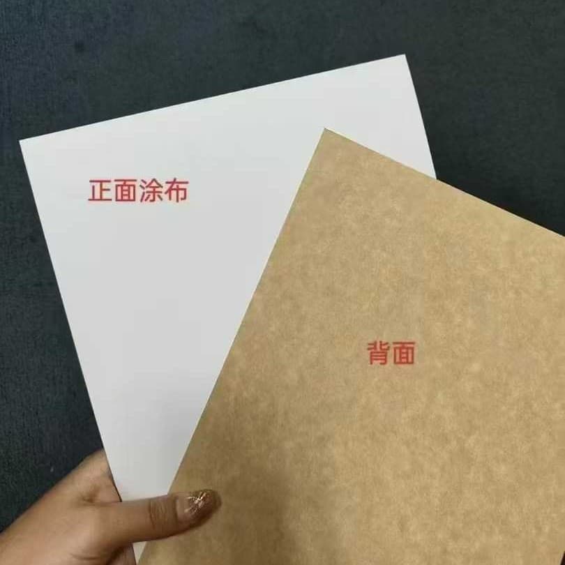 300g Coated Kraft Cardboard for Fast Food Boxes, Food Containers, and Medicine Boxes