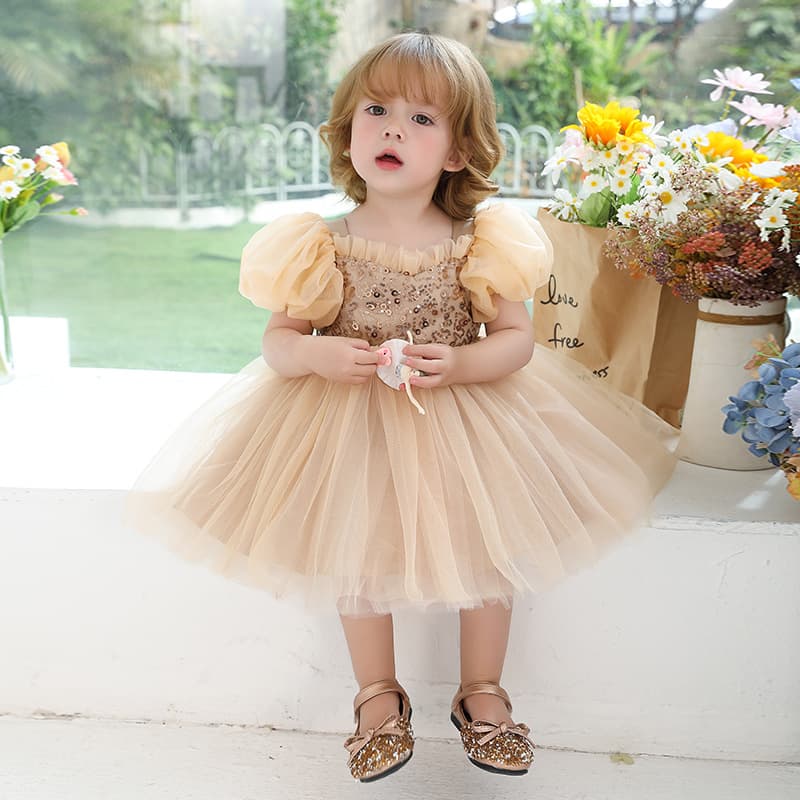 Cross-border girls puff sleeve princess dress flower girl wedding tutu skirt little girl birthday first birthday dress dress