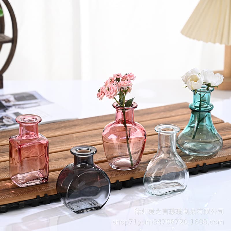 Wholesale cross-border soda lime glass vase ins simple style glass vase table decoration hydroponic flower ornaments