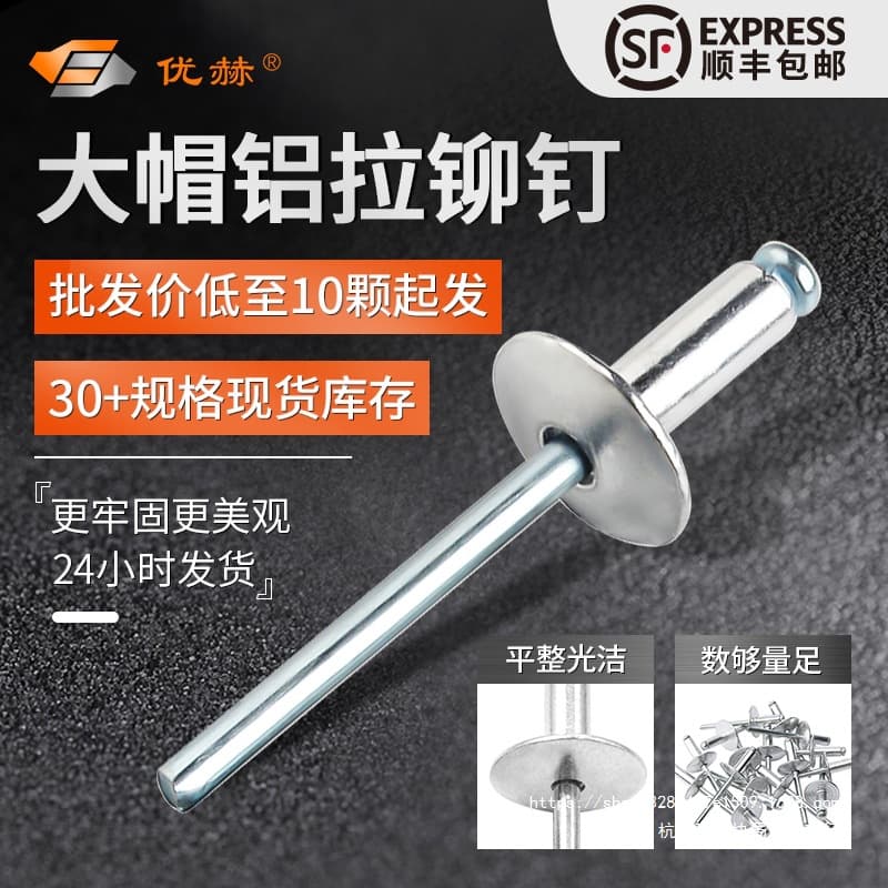 Large Head Aluminum Rivets, Youhe Blind Rivets for Special Use in Truck Doors with Wide Flange