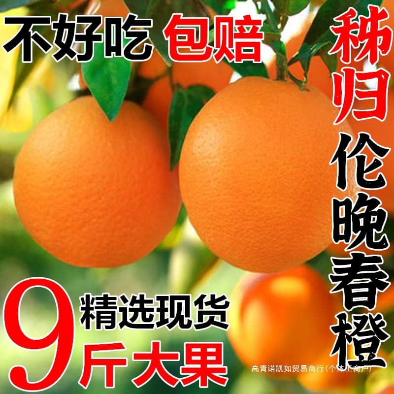 Super sweet late-season navel oranges, spring oranges, authentic Zigui navel oranges, 10 jin (5 catties) fresh fruit, 9 jin (4.5 catties) seasonal jelly-like sweet oranges.