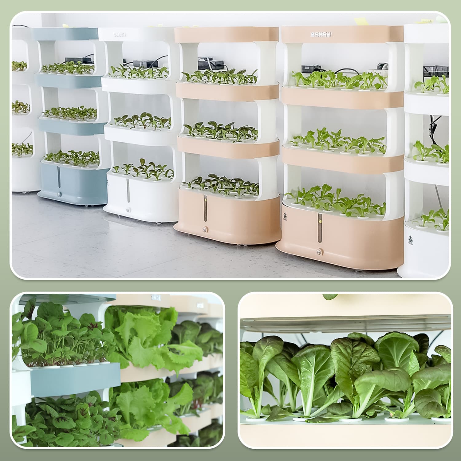 Hydroponic Vegetable Growing System Soilless Cultivation Indoor Balcony Planter Home Hydroponics System