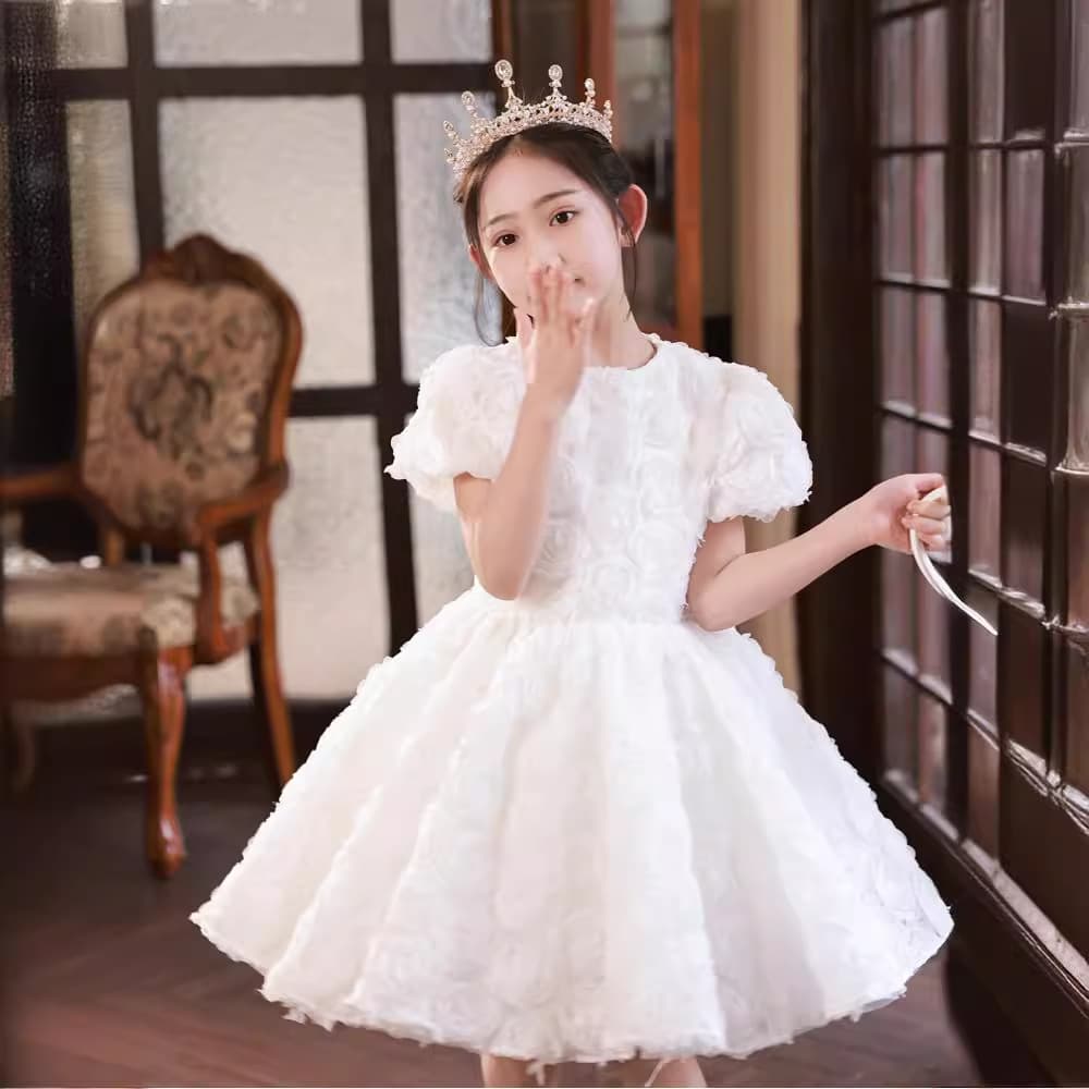 Girls birthday princess dress flower girl wedding little girl tutu skirt light luxury niche banquet host dress skirt