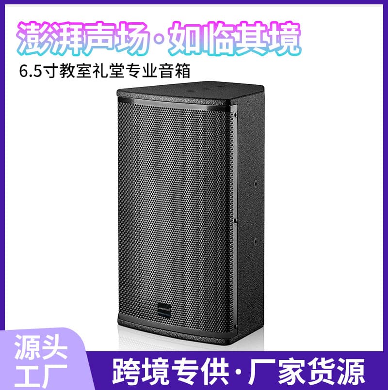 Passive 6.5-inch Classroom Auditorium Party Speaker Full-Range Audio for Concerts, Karaoke, and Multi-Functional Conference Speech