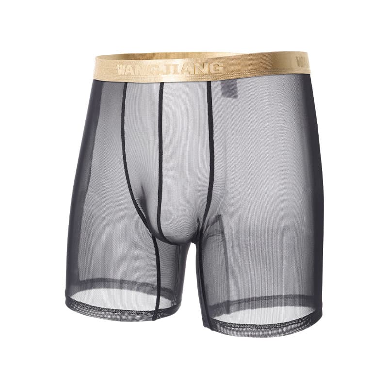 Mesh Long Boxer Briefs for Men, Breathable Mesh Sexy Transparent Men's Boxer Shorts