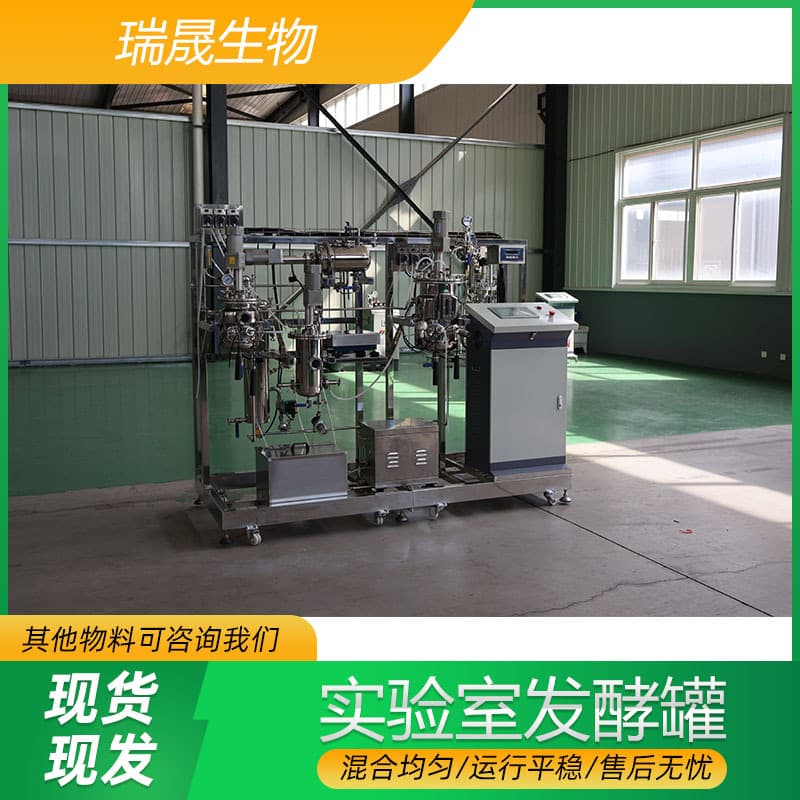 Ruisheng Machinery Supplies Small Fermenters Seed Tanks for Biotech Company Laboratories Laboratory Fermenters
