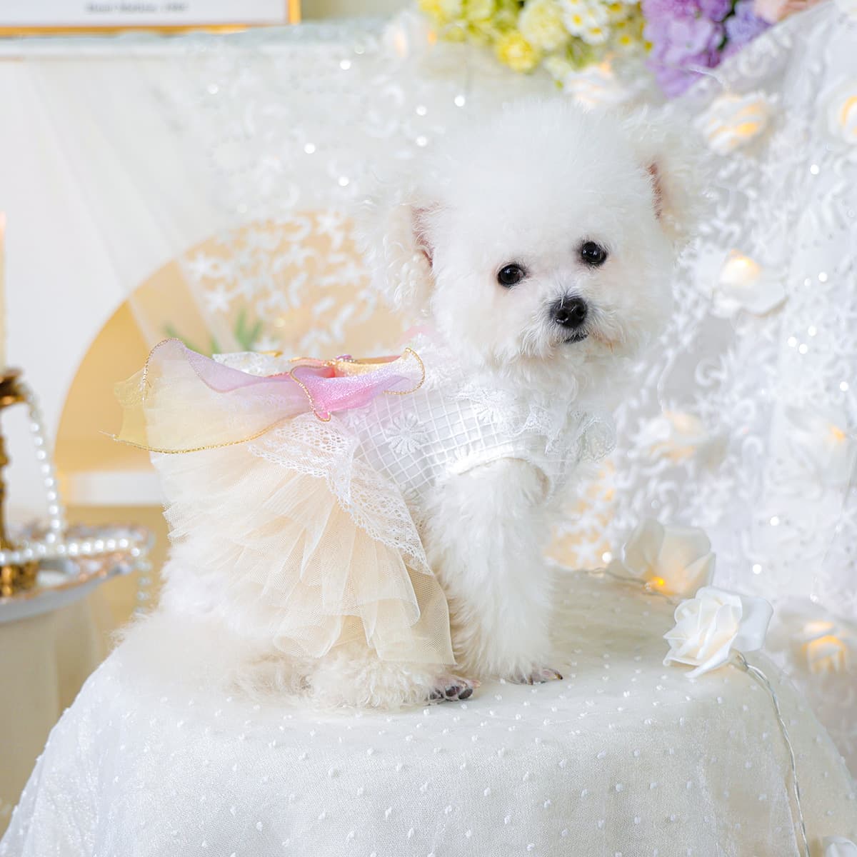 PETCIRCLE Spring/Summer Pet Clothing Dog Cat Outfit Rainbow Starburst Wedding Dress and Veil Set