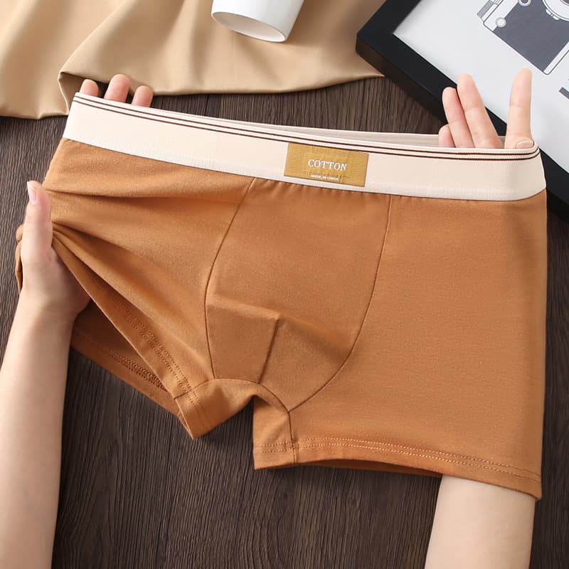 Pure Cotton Men's Boxer Briefs Antibacterial Teen Boys Breathable Cotton Shorts Summer