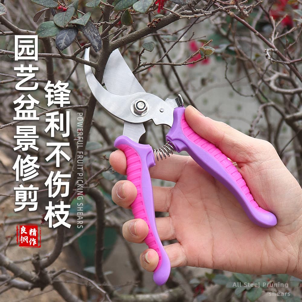 Multi-Functional Garden Pruner Stainless Steel Fruit Branch Pruner Pot Plant Pruning Tool Branch Cutting Garden Fruit Picking