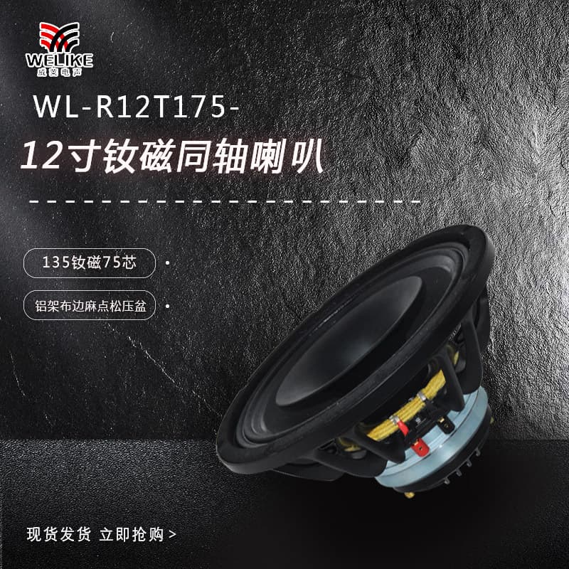12-inch neodymium coaxial speaker with 75-core tweeter for monitoring and stage foldback