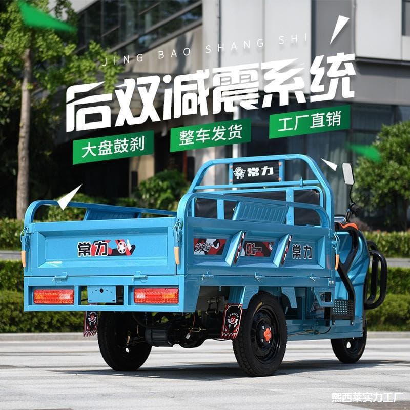 Three-Wheel Electric Cargo Tricycle for Adults, Delivery, Commuting, New Electric Battery