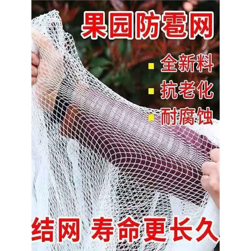 Hail Net for Orchard, Bird Net for Grape Vineyard, Anti-Hail Net for Gardening, New White Polyethylene, Factory Direct Sales
