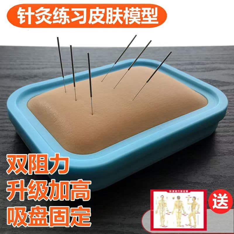 Acupuncture Practice Model Human Body Medical School Simulation Traditional Chinese Medicine Package Human Meridian Acupoints Beginner Teaching Silver Needle Box