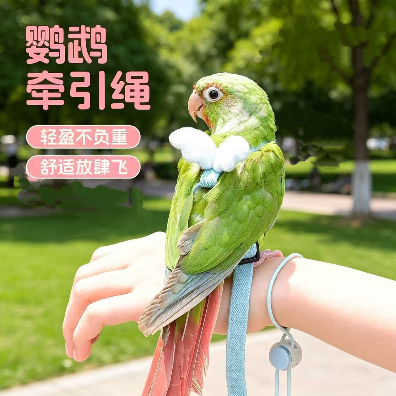 Bird parrot fly rope black phoenix tiger skin peony traction rope flying out carrier bird walking supplies extension rope D