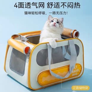 New Cat Music Rhythm Cat Carrier Dog Outgoing Crossbody Bag Portable Large Capacity Backpack Four Seasons Pet Bag