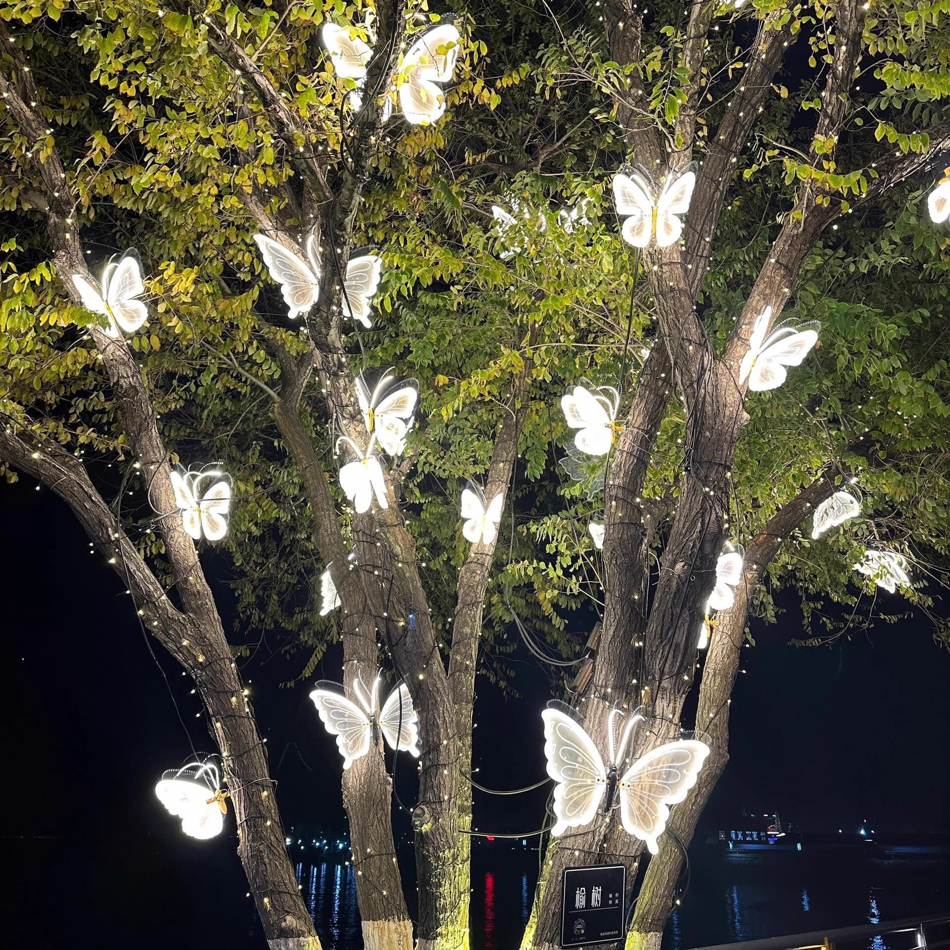 LED Outdoor Glowing Dynamic Butterfly Light Insect Shape Lamp Garden Landscape Light Simulation Butterfly Decorative Light