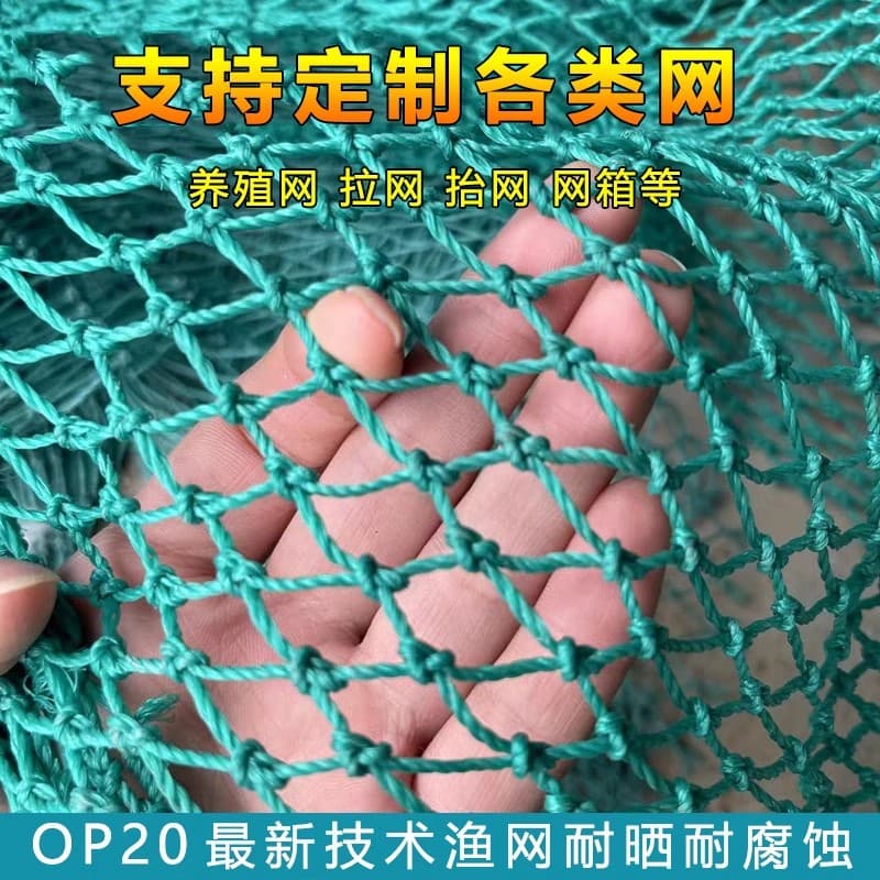 Polyethylene Fishing Net Mesh, Knotted Net for Chicken and Duck Fencing, Fish Pond Enclosure, Bird Netting, Climbing Plant Trellis, Net Box