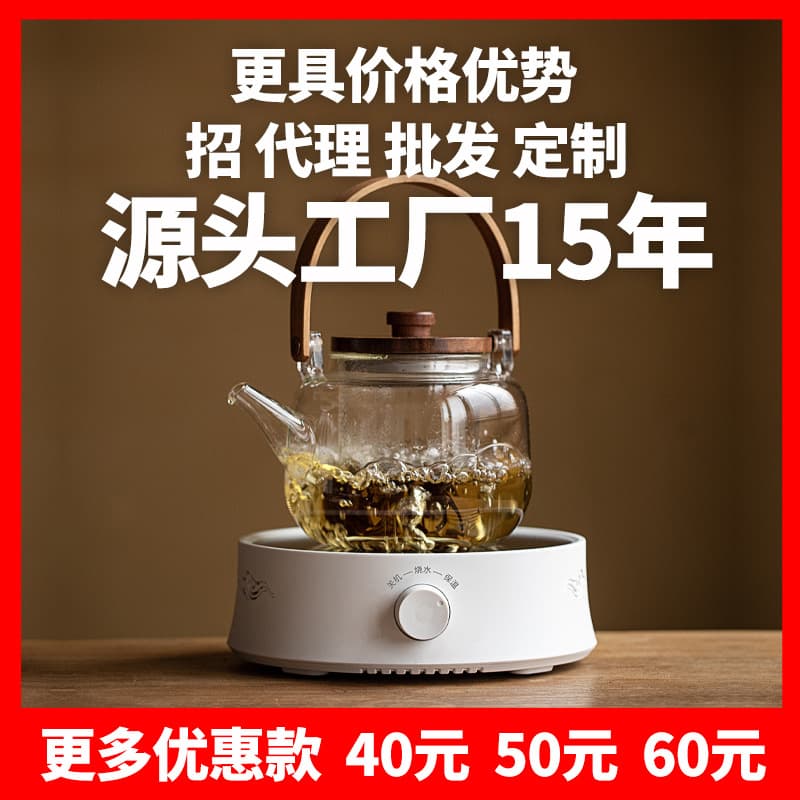 Mi Kitchen Electric Tea Stove Dual-Use Tea Kettle Smart Coffee Maker Moka Pot Factory Direct