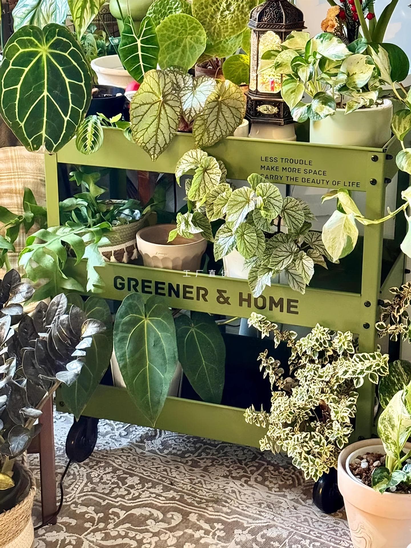 Small Trolley Storage Rack, Green Plant Stand, Movable Balcony Plant Stand for Living Room, Fish Tank Plant Stand, Flower Pot Wholesale