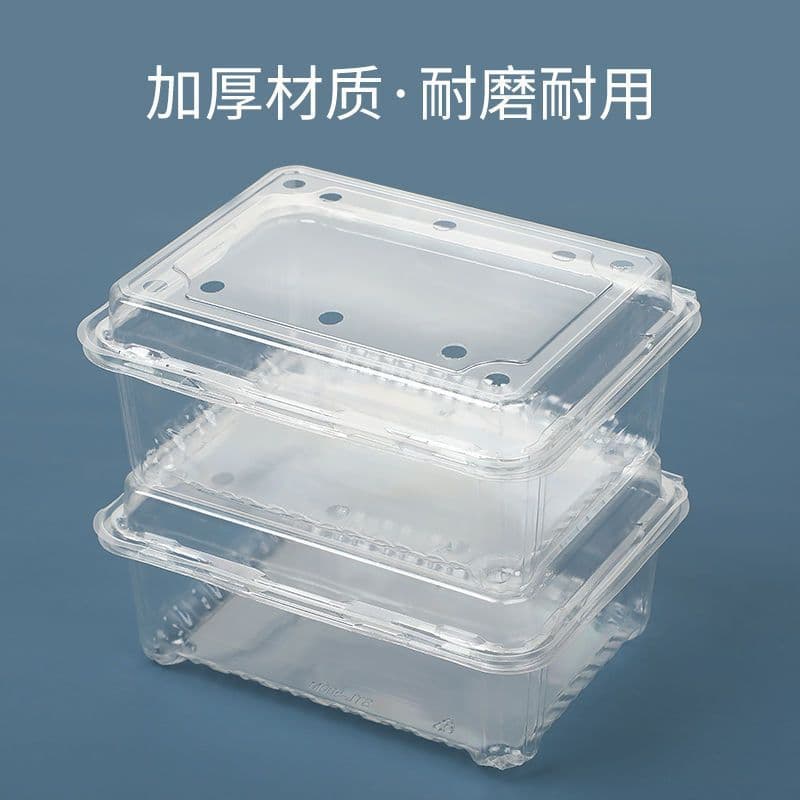 Strawberry Box, Portable Disposable Transparent Plastic Packaging with Lid for 1, 2, or 3 Jin (approx. 1.1-3.3 lbs) Quantities
