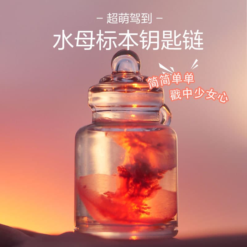 Jellyfish Pet Specimen Pendant Real Jellyfish Red Moon Keychain Ornament Christmas Valentine's Day Children's Day Creative Gift