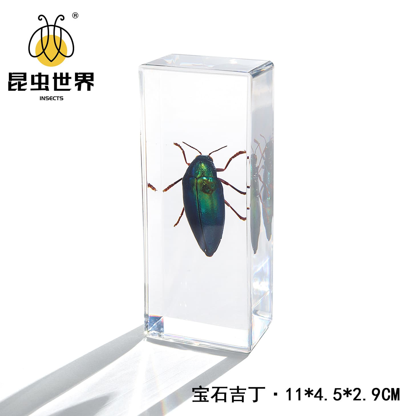 Jingling Craft Insect Specimen Stag Beetle Scorpion Mantis Spider Biology Science Education Niche Gift Resin Ornament