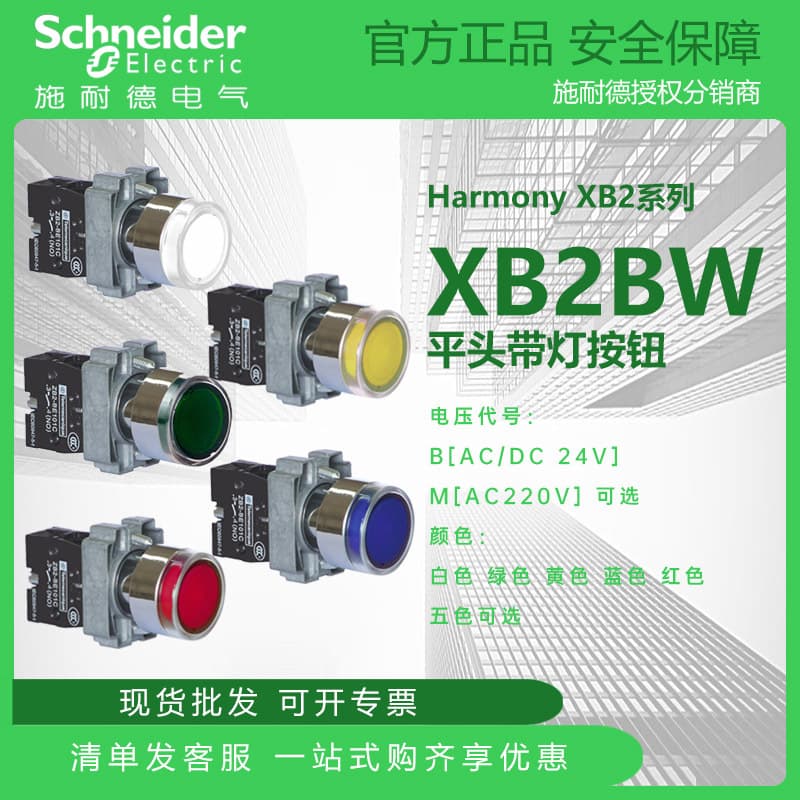 Schneider XB2 Series XB2BW Flat Head Illuminated Button Metal 24V/220V White/Green/Yellow/Blue/Red