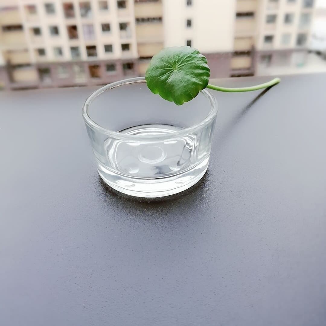 Mouth 46* bottom 44* height 25MM, miniature tealight cup candle glass, glass candle holder four-point candle cup