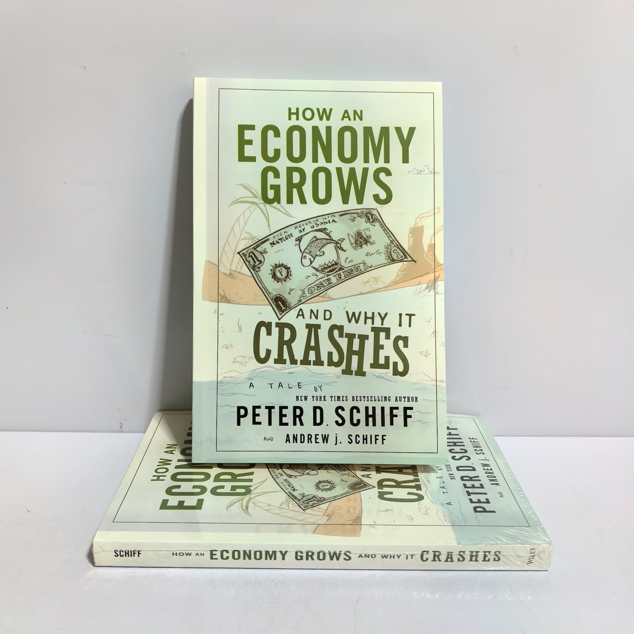 How an Economy Grows and Why It Crashes" - English Edition of "Island Economics