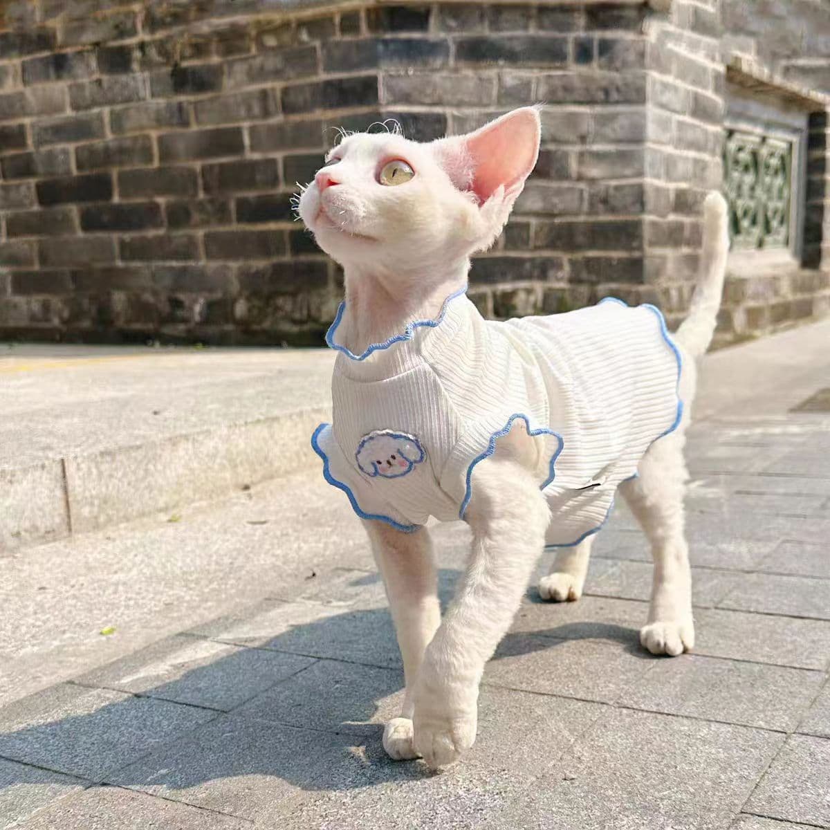 Summer New Stretch Breathable Thin Sleeveless Cat Vest for Sphynx and Similar Breeds