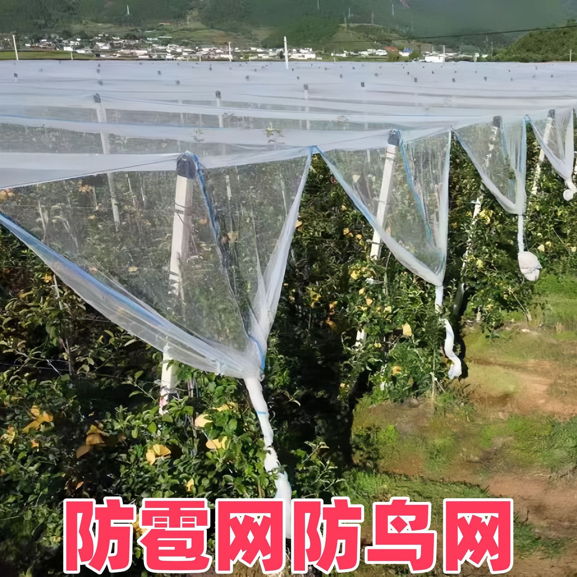 Anti-hail net orchard anti-bird net grape net agricultural protective net fruit tree anti-hail net orchard anti-hail net anti-aging