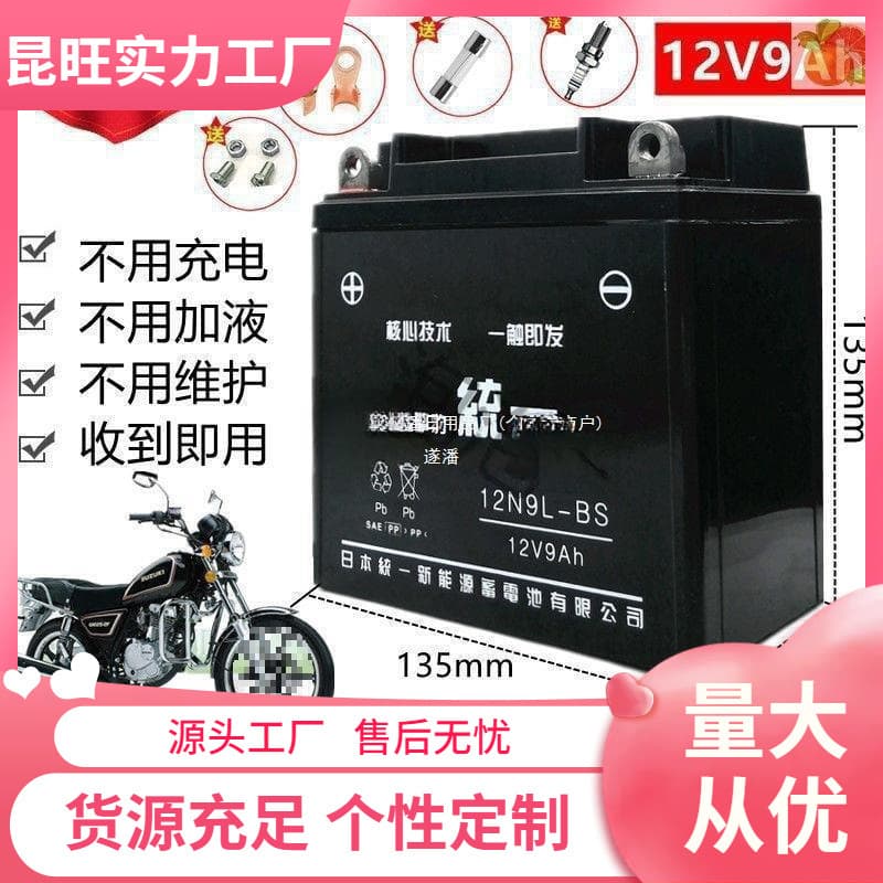 Haojue Suzuki GN Prince HJ125-8 Men's Motorcycle Maintenance-Free Battery 12V 9A Dry Battery