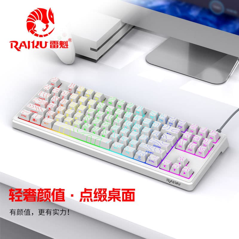 RAIKU DG87 Wired Keyboard with Contour Side-Printed Keys, Mechanical Feel, USB, for Gaming, Desktop, Laptop