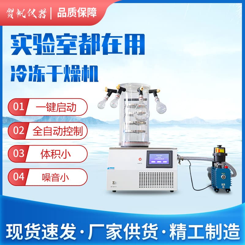 Freeze Dryer Laboratory Vacuum Lyophilizer Benchtop Fruit Vegetable Pharmaceutical Freeze Drying Machine Manufacturer In Stock