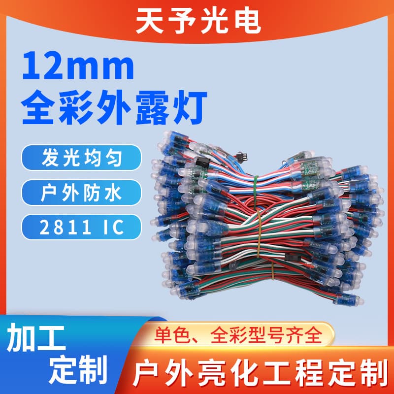 12mm Full Color LED String Lights Outdoor 2811IC/RGB Ready Stock Wholesale