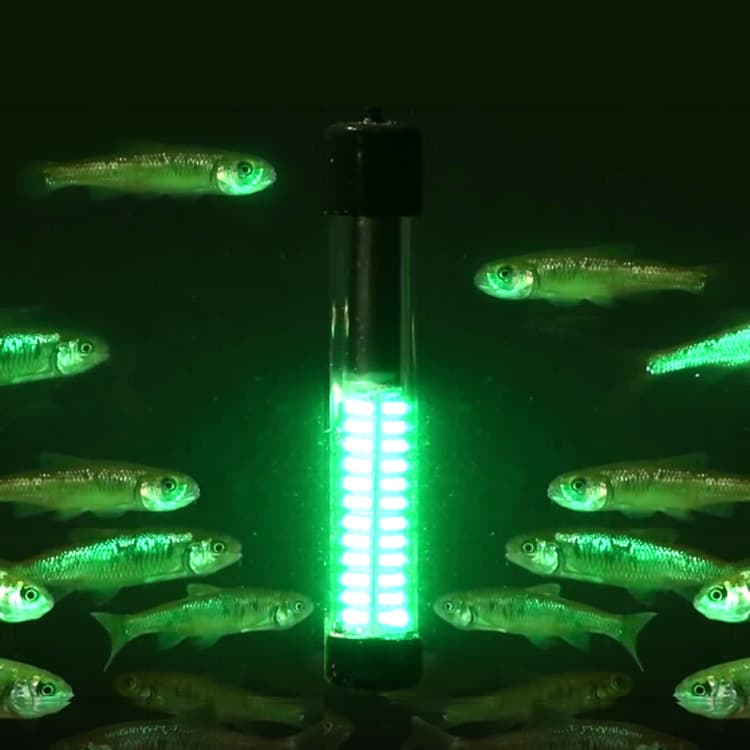 12V24V Underwater Green Light White Blue Yellow LED Fishing Bait Light Fish Attractor Lamp Fishing Light