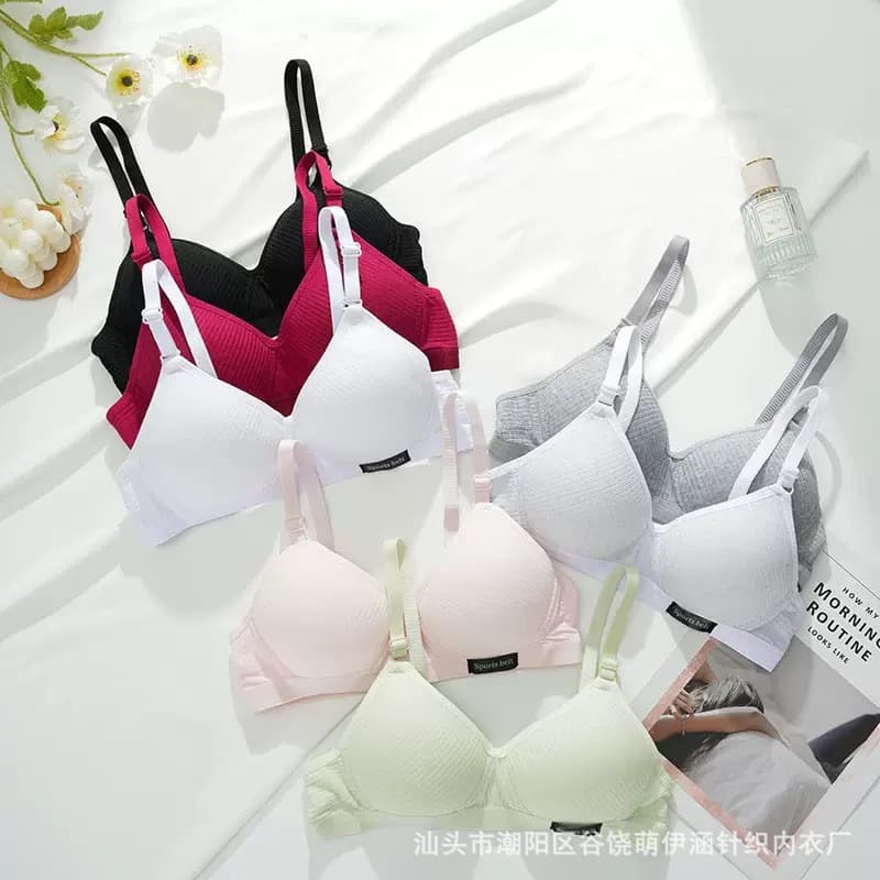 Thin Cotton Korean-Style Bra for Teens, No Underwire, Light Support, Amusement Park Print