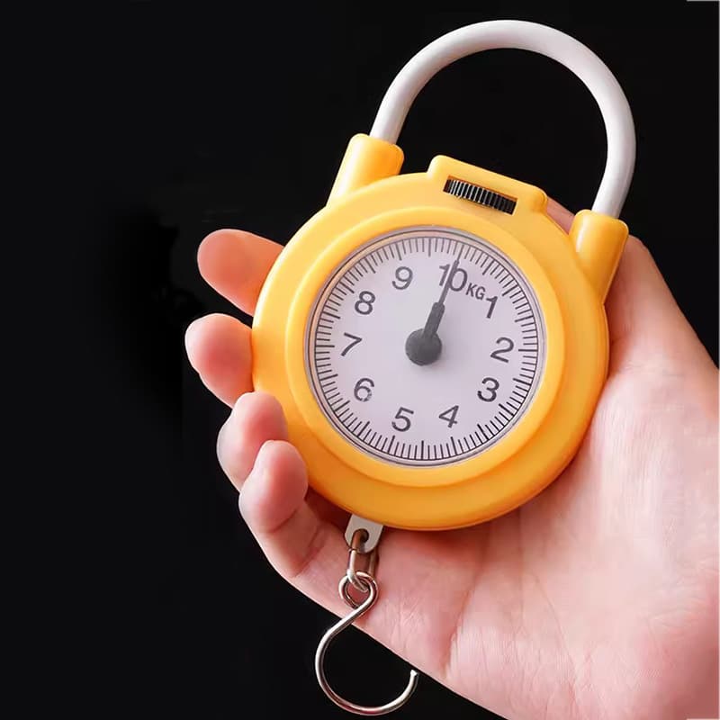 Handheld Spring Scale Multifunctional Portable Mini Scale Electronic Scale Household Parcel Small Portable Handheld Scale with Hook