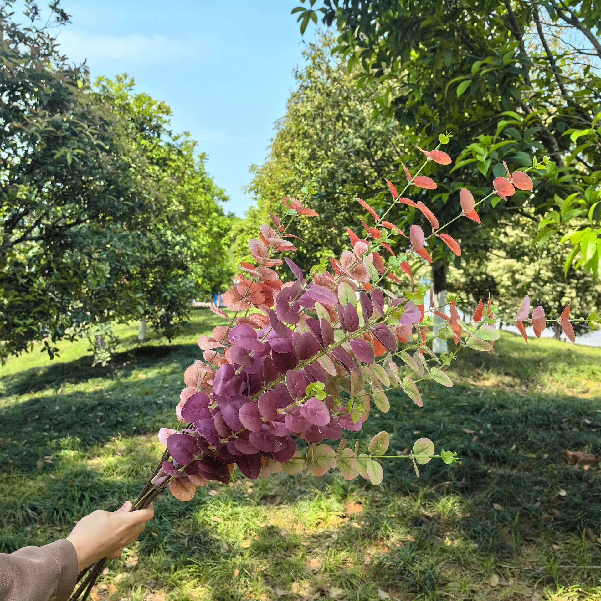Simulated 5-Branch Eucalyptus 3D Printed Eucalyptus Money Leaf Green Plant 3-Branch Eucalyptus Decorative Fake Tree Fake Flower Wholesale