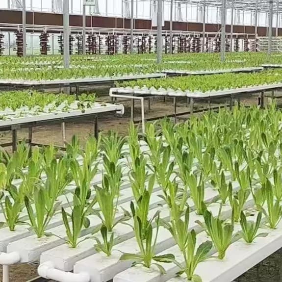 White PVC Square Hydroponic Pipes for Growing Vegetables