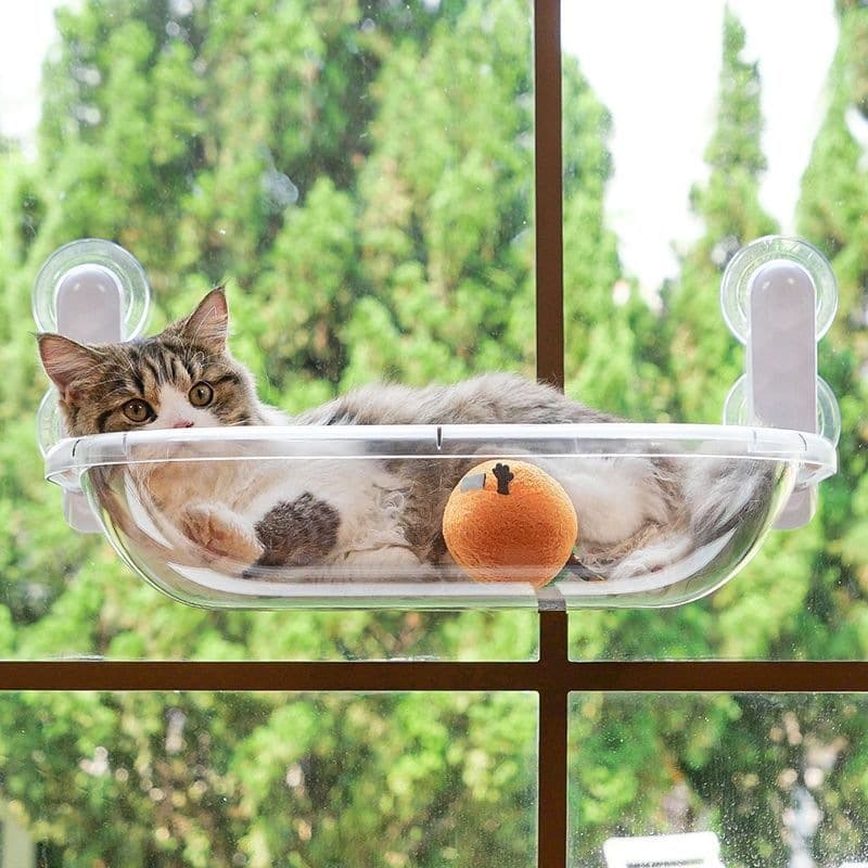 Cat nest cat hammock space capsule cat bed window cat sun hanging bed glass hanging basket transparent pet bedding