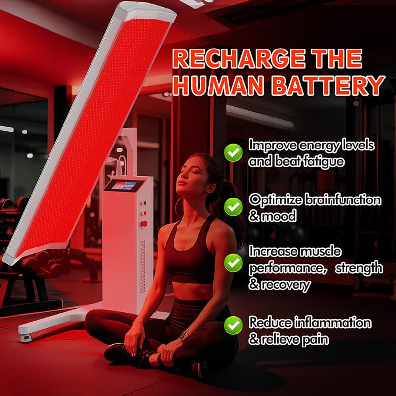 LED Infrared Light Therapy Equipment: 660nm+810nm Remote Control LED Phototherapy Panel