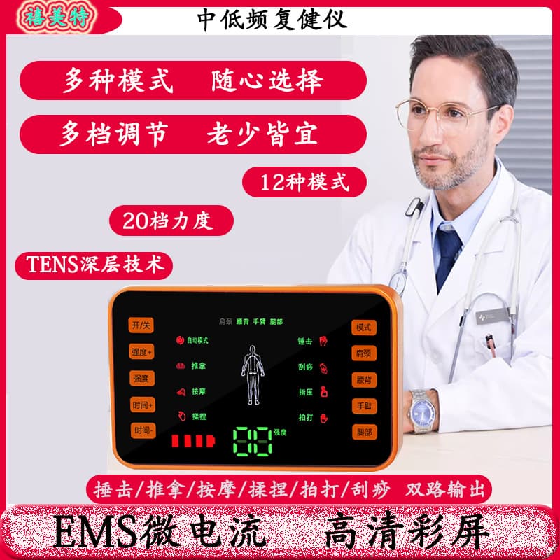 Rechargeable Dual Output Digital Meridian Therapy Device for Waist, Neck, Acupuncture, Electric Pulse Massager, Portable