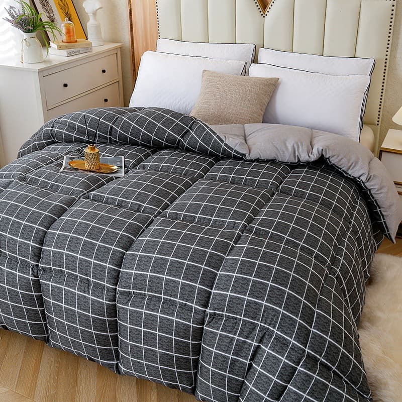 Spring and autumn quilt core cotton quilt winter quilt single student dormitory autumn and winter thickened all-season bedding double