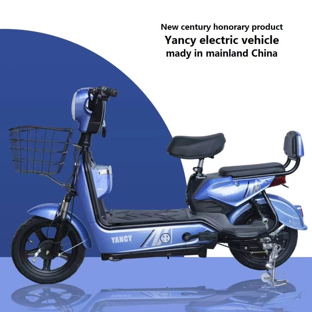 National Standard Golden Eagle Electric Bicycle Motorcycle Battery Commuter Electric Scooter Adult Electric Bike