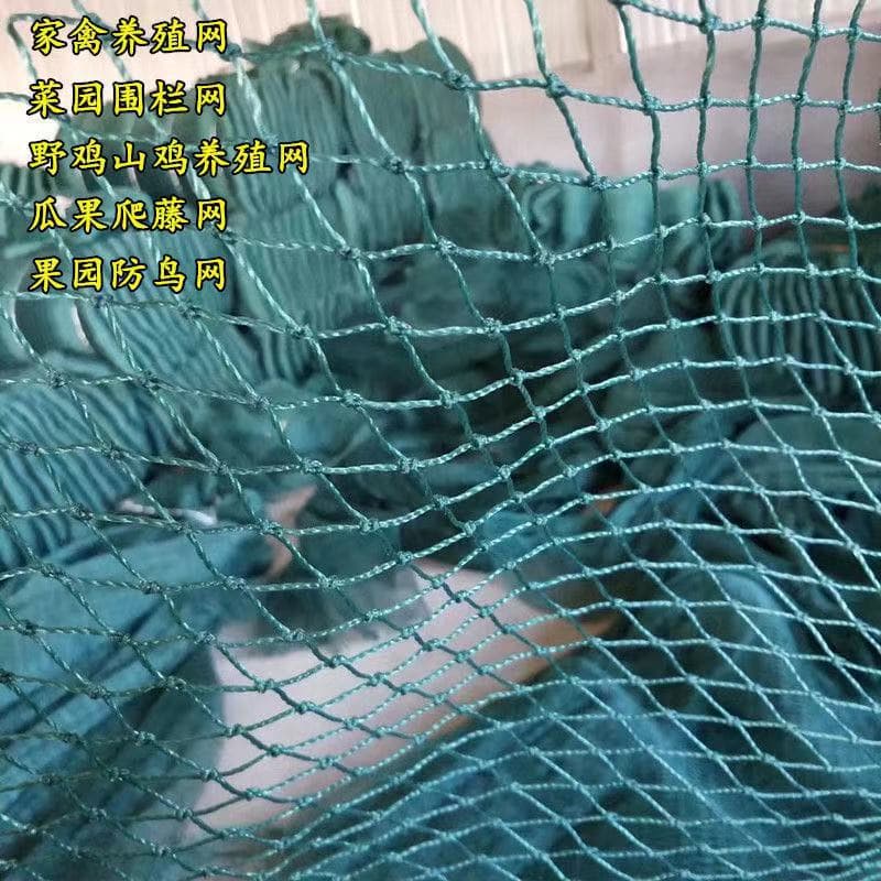 Chicken Netting, Poultry Netting, Garden Fence Net, Pheasant Net, Chicken Barrier Net, Fence Net, Nylon Net Custom Processing