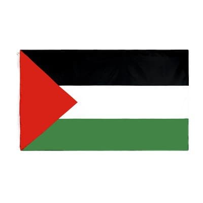 Palestine Flag In Stock 90*150cm 3*5Ft Polyester Color Flag Factory Palestine Flag Wholesale