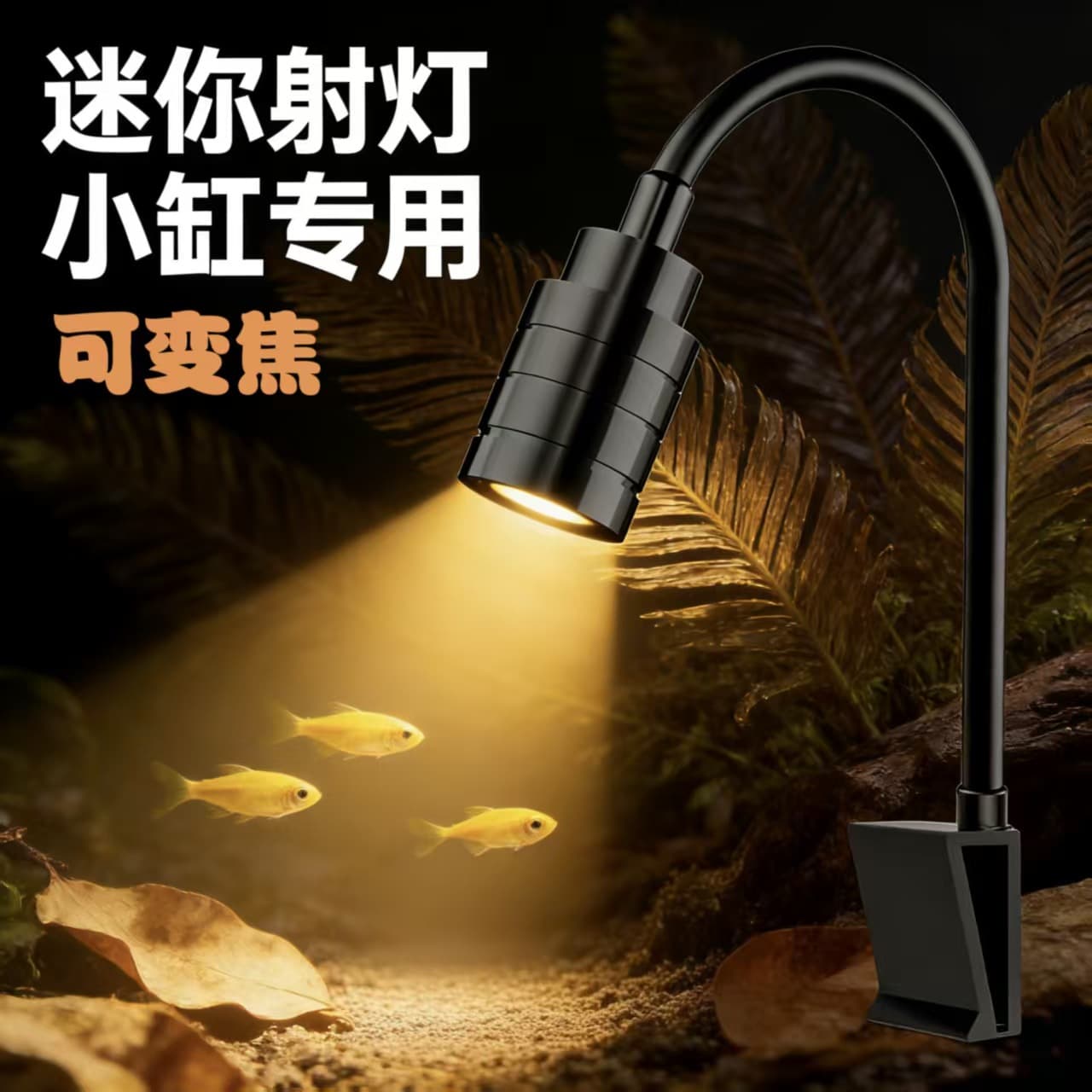 Small Aquarium Spotlight LED Landscape Lighting, South American Spotlight, Native Stream Tank, Aquarium Viewing Light