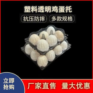 Transparent Disposable Egg Packaging Box Egg Tray Plastic Thickened Egg Box Egg Holder Factory Direct