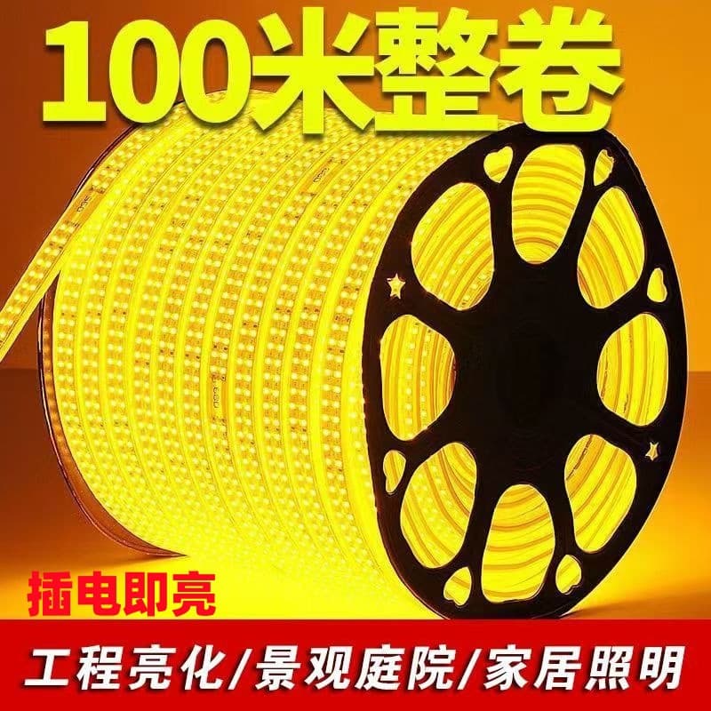 220V High-Voltage Outdoor Waterproof LED Light Strip Living Room Exterior Wall Special Project Flexible Linear Sleeved Light Strip Wholesale